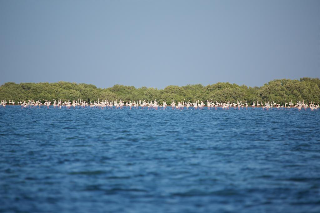 Flamingo Beach Hotel Umm al-Quwain Exterior photo